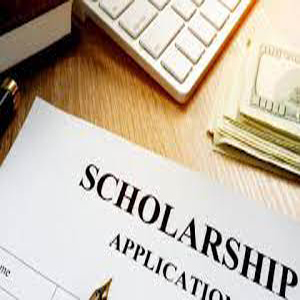 Telangana to organise the NMMS scholarship test on 10th December